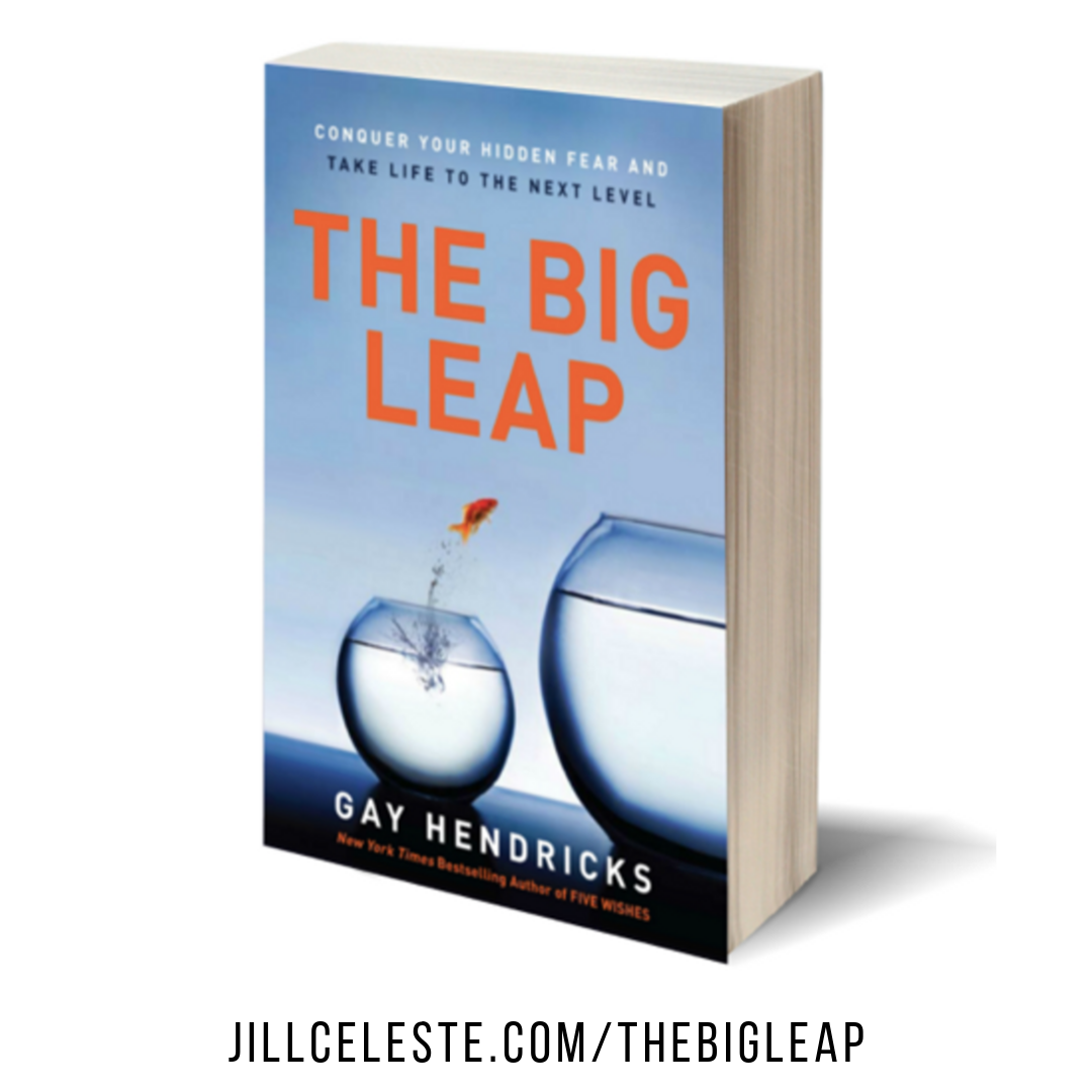 Book Review The Big Leap By Gay Hendricks Virtual Networkers